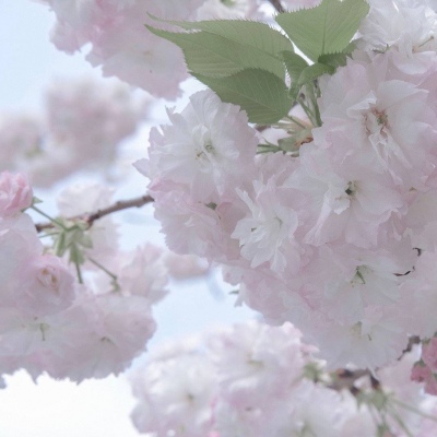 湾里FurryQQ群介绍